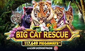 Imagem do jogo Big Cat Rescue Megaways no wjcasino